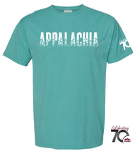 Load image into Gallery viewer, Appalachia Spring Into Summer Comfort Wash Short Sleeve T-Shirt
